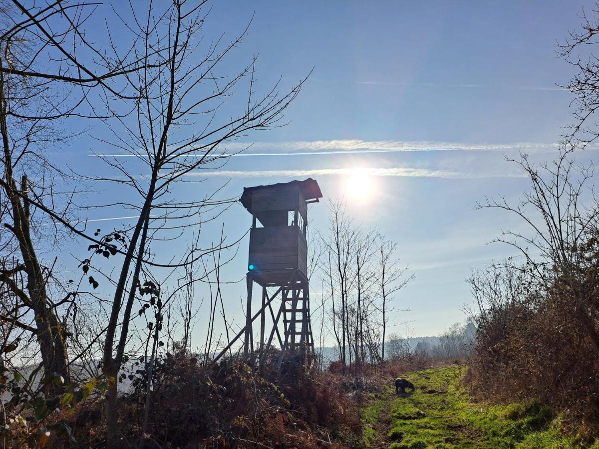 Steewer Landhaus Gemuetliche Ferienwohnung Bis 6 Pers In Ruhiger Ortsrandlage Stebach Exterior foto
